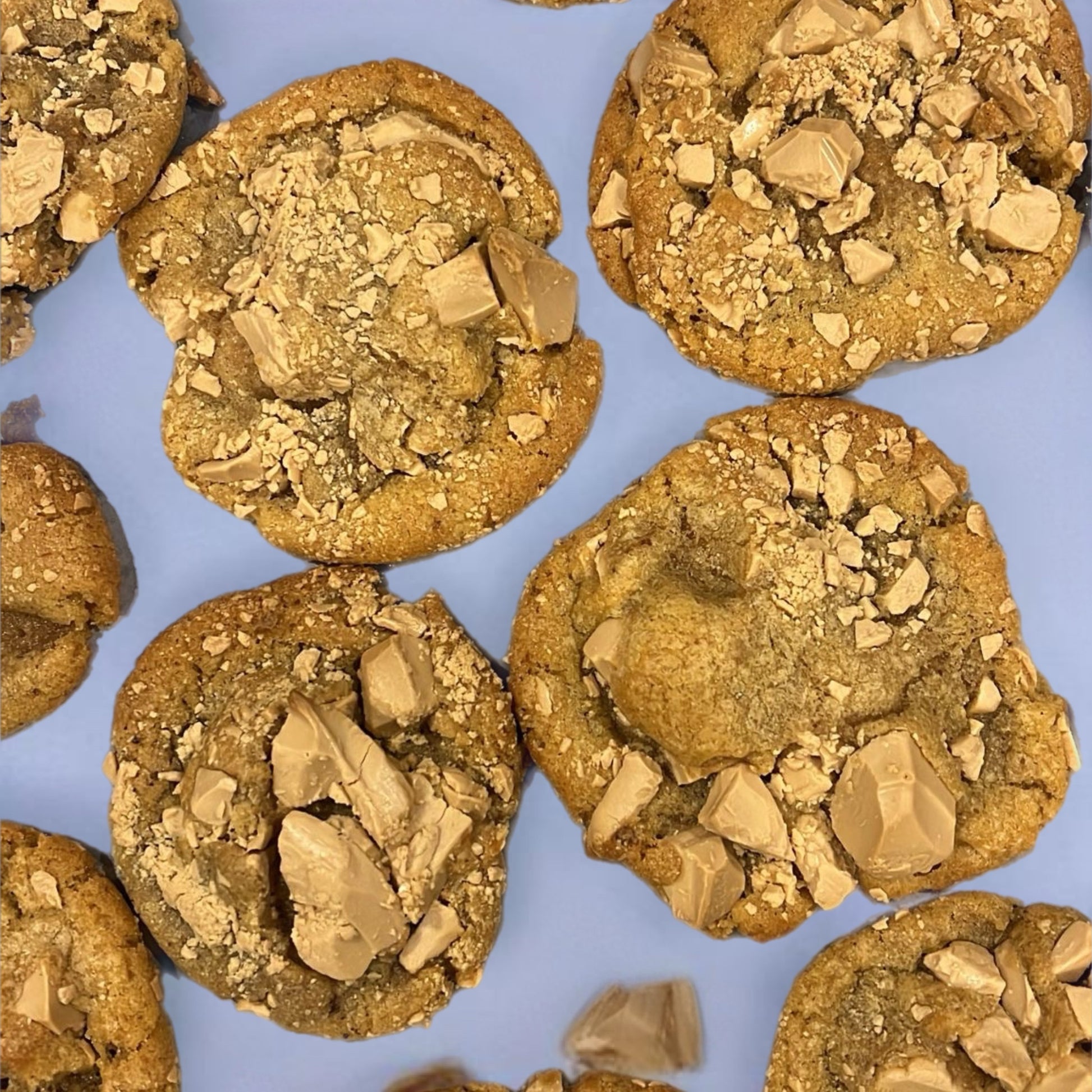 Cookies with chocolate chunks on a blue background